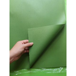 1 tờ  GIẤY MỸ THUẬT Xanh lá đậm/ xanh rêu 50x75cm- 60gsm