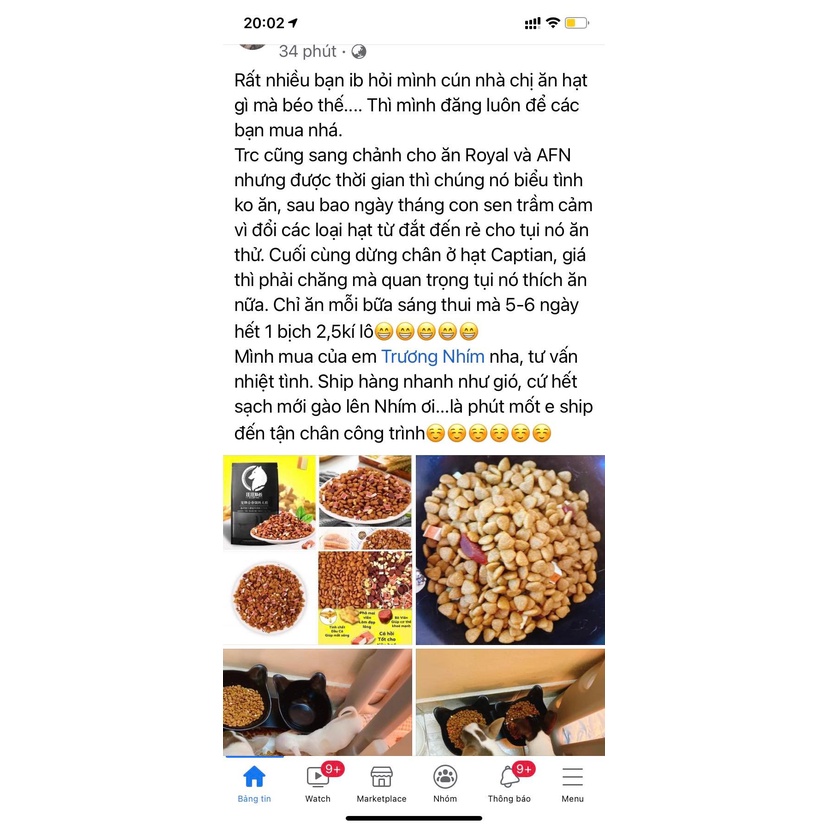 Hạt Captain bò phomai cá hồi date xa dành riêng cho thú cưng