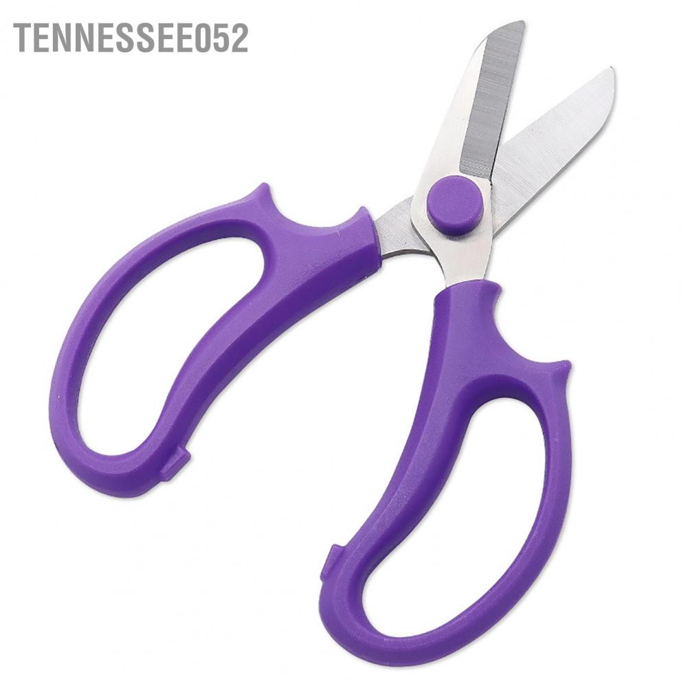 Tennessee052 Florist Scissors Incisive Blades Small Lightweight Stainless Steel Flower Branch for Horticulture