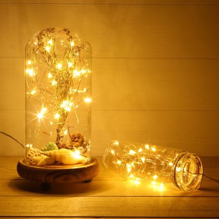 Dây kẽm, Dây đèn Led dây đồng Fairy Light trang trí tiệc cưới noel phòng ngủ 3met Pin 2A