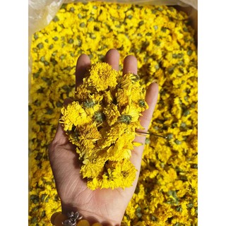 Hoa cúc vàng sấy khô 100gram sản phẩm hanmade từ thiên nhiên ( TẶNG 50G HOA NHÀI VỚI ĐƠN 200G)