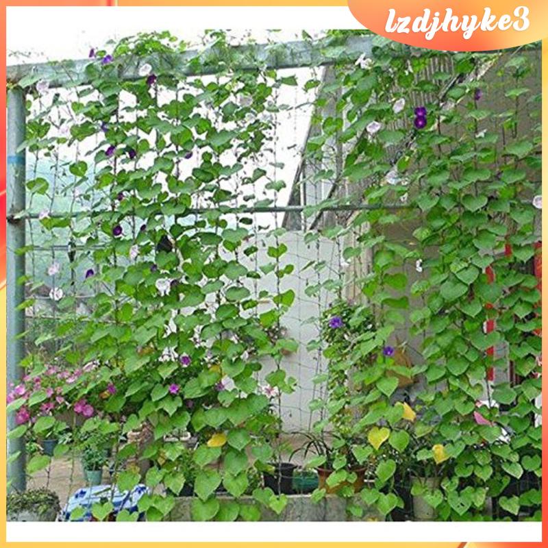 Lưới Trồng Cây Dây Leo Bằng Nylon lzdjhyke3