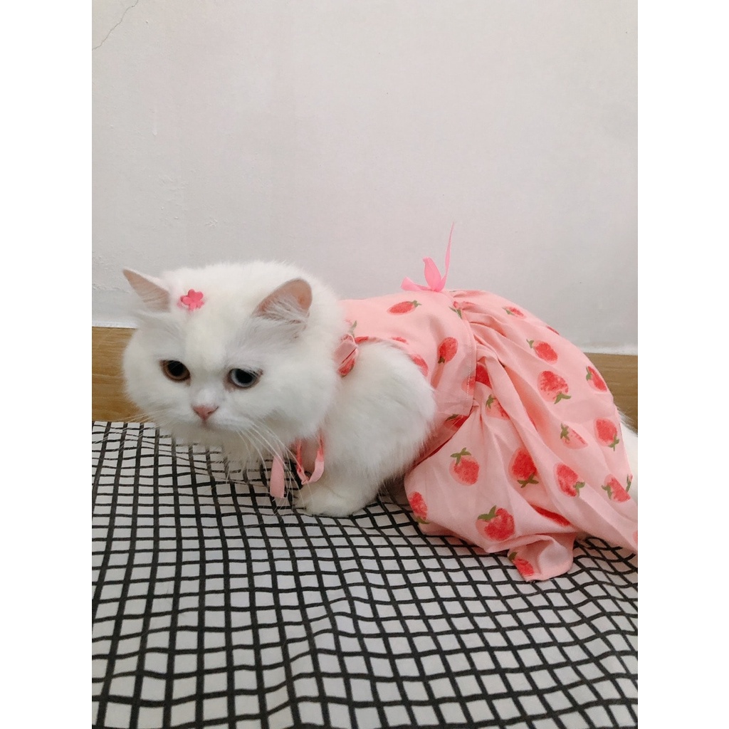 Đầm tết cho chó mèo dễ thương có size nhỏ