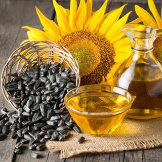 Gói 20 hạt giống hoa hướng dương tháp nhiều bông, Hạt giống hoa hướng dương tháp cao tầng