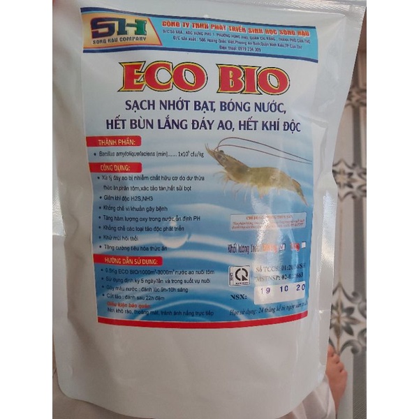 men xử lí đáy ao