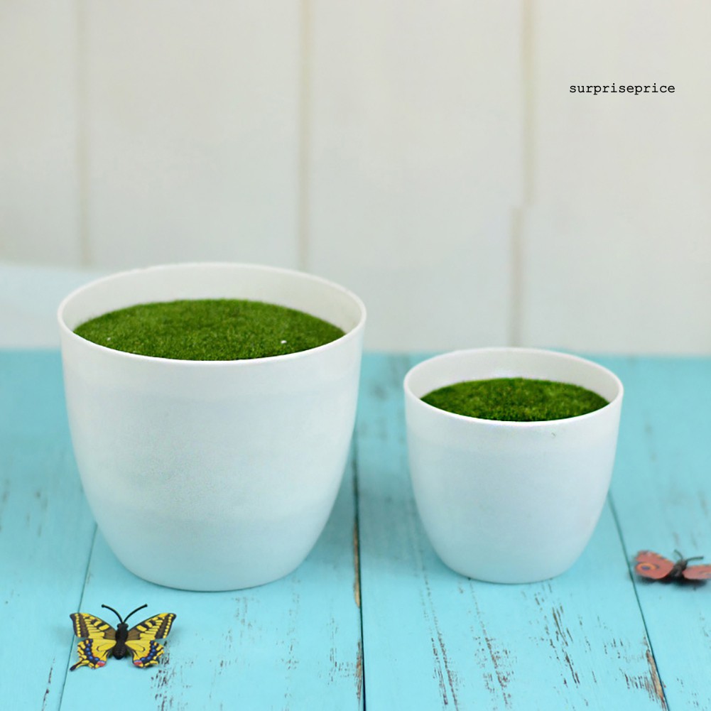 Chậu hoa bằng nhựa hình tròn dễ thương xinh xắn