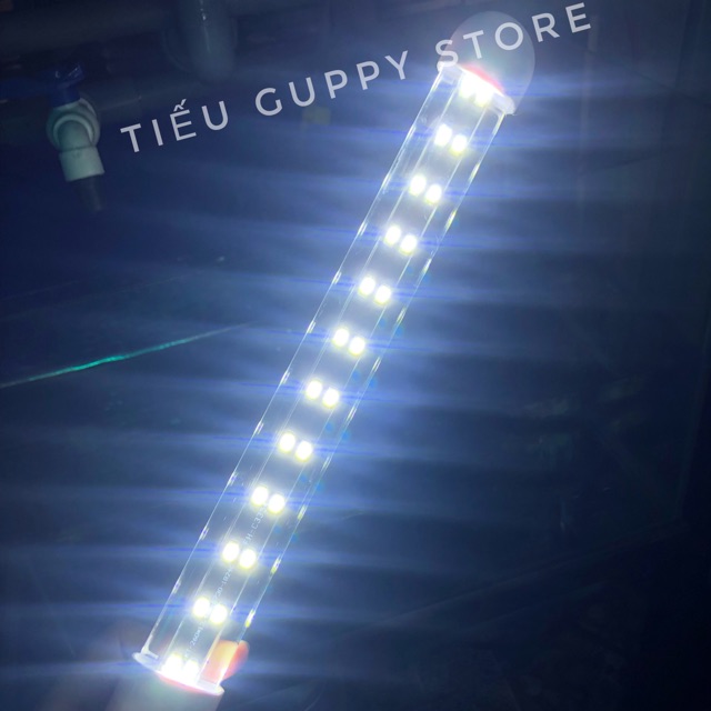 Đèn led kẹp thành hồ cá màu trắng - size 20cm/30cm/40cm