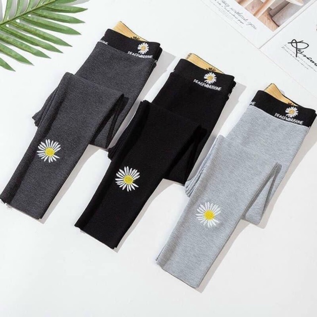 Quần legging hoa cúc len tăm