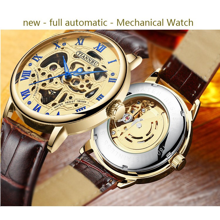 Đồng hồ cơ tự động - lộ cơ (skeleton) nam dây da Tianbu PKHRTB001 - mặt vàng | BigBuy360 - bigbuy360.vn