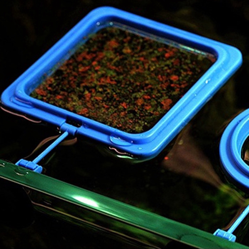 Khay đựng thức ăn cho cá cảnh dạng nổi dáng vuông hoặc tròn dành cho hồ cá