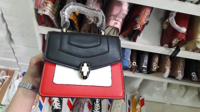 Túi BLV đầu rắn