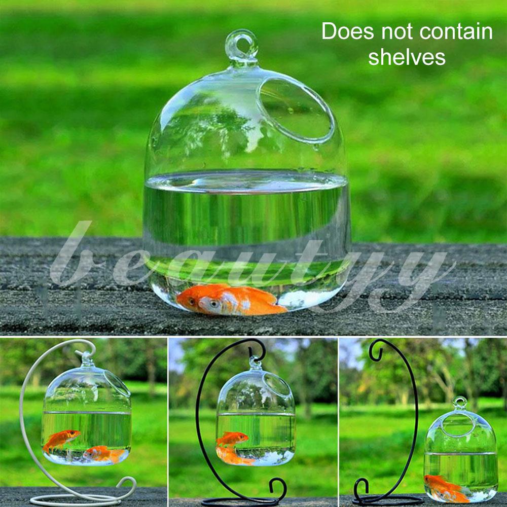 Bình hoa trong suốt handmade trang trí bể cá