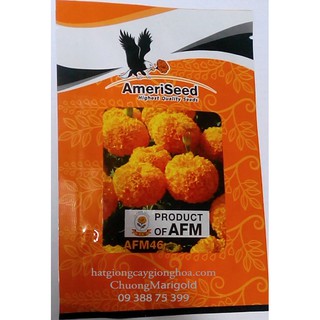 Hạt Giống Vạn Thọ Lùn F1 Cam Đỏ