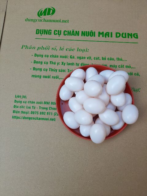 Trứng bồ câu nhựa - giả - combo 50 quả