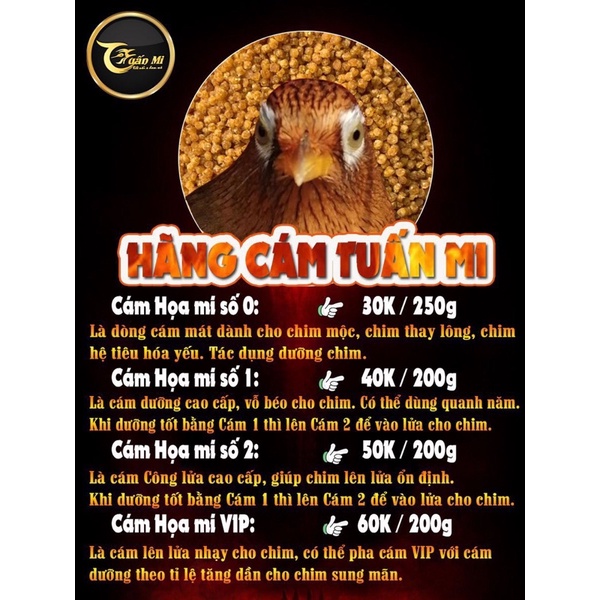 CÁM HOẠ MI CÔNG LỬA SỐ 2 TUẤN MI