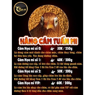 CÁM HOẠ MI CÔNG LỬA SỐ 2 TUẤN MI (200g)
