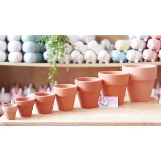 Chậu đất nung trồng cây mẫu gờ cao