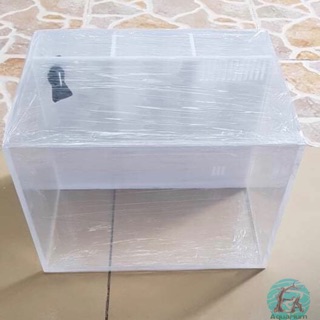 Hồ Acrylic lọc vách EBIVN 26x20x18