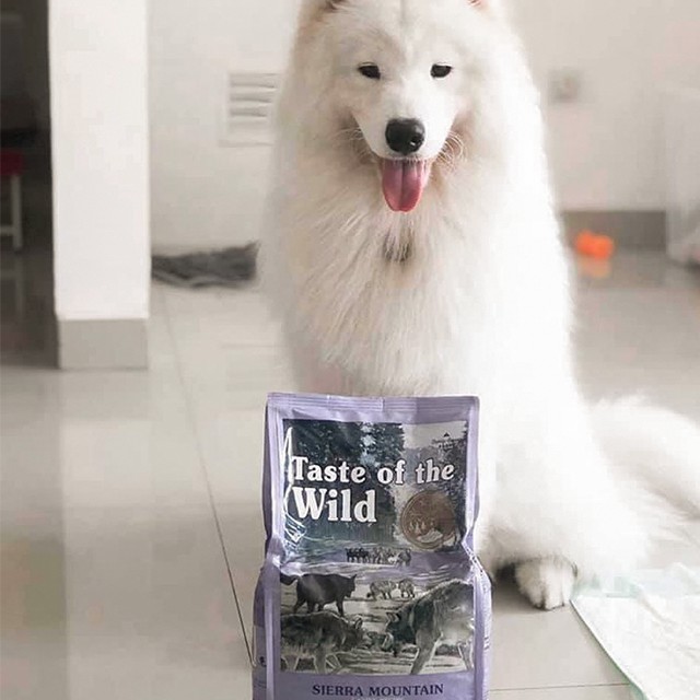 Thức Ăn Cho Chó Corgi Taste Of The Wild Bao 2kg -  Sierra Mountain Thịt Cừu, Trái Cây Rau Củ Quả