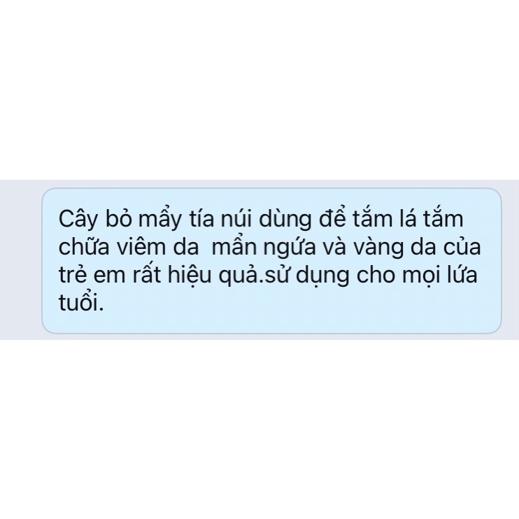 Cây nàng nàng