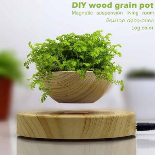 Chậu cây cảnh dạng nam châm độc đáo phong cách