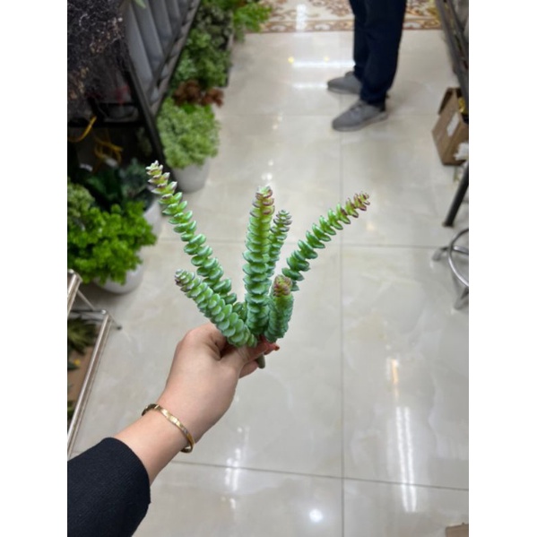 Sen đá giả cành dài 6 nhánh - 12 nhánh - trang trí nhà cửa