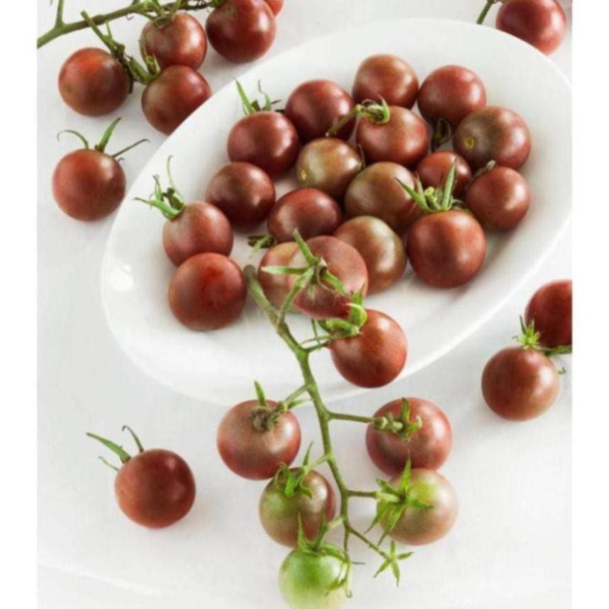 Gói 30 hạt giống cà chua socola