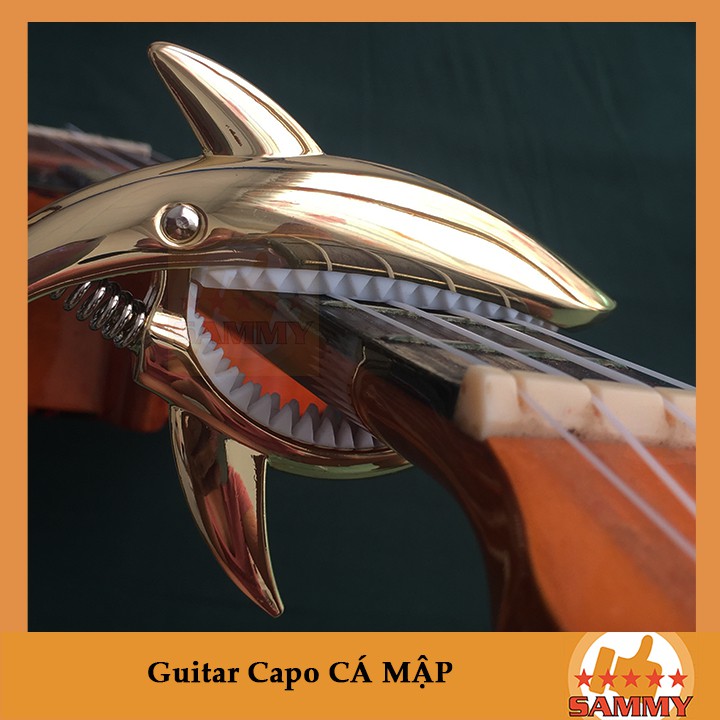 [ Tặng Giáo Trình Guitar ] GUITAR CAPO CÁ MẬP - GUITAR SHARK CAPO Gold, Bạc, Titan, Đen, Hồng