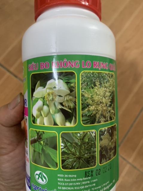 Siêu bo đậm đặc