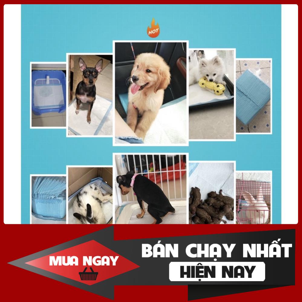 [ HOT ] Giấy tã lót vệ sinh cho thú cưng cao cấp