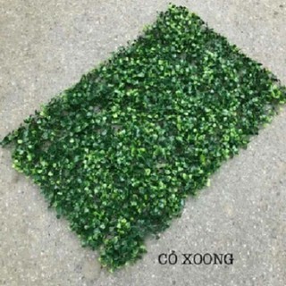 BỘ 3 - 5 tấm cỏ treo tường CẢI XOONG