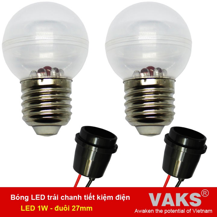 Bộ 02 Bóng led trái chanh tiết kiệm điện (1W) và 02 đuôi vặn kín nước DX17-1506