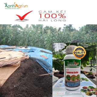 NẤM TRICHODERMA KHẮC TINH VÀNG LÁ THỐI RỄ