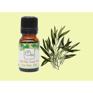 Tinh dầu tràm trà - Tea Tree