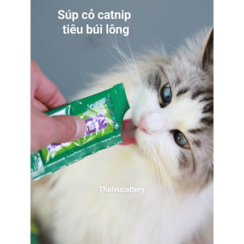 Súp Cỏ Catnip Bài Trừ Búi Lông Trong Dạ Dày Mèo Đẩy Lông Vón Cục Vị Cá Ngừ,Cá Ngừ Vằn