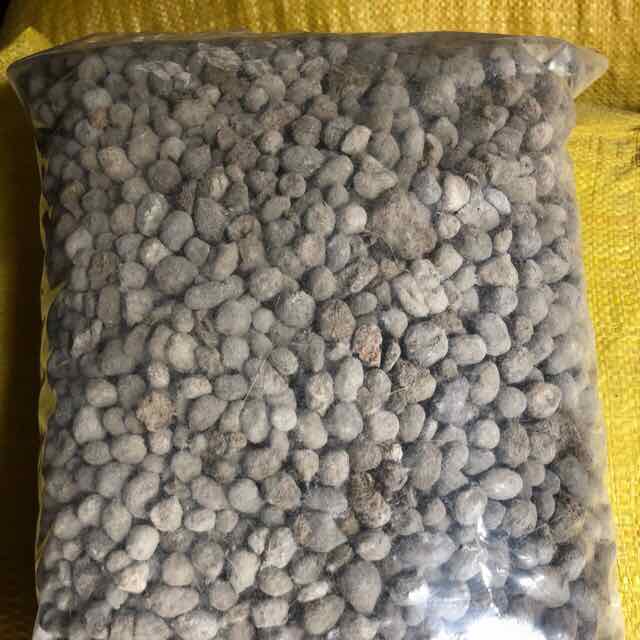 Phân dê đã qua xử lý sạch, bón lan, cây cảnh, cây hoa, cây trồng