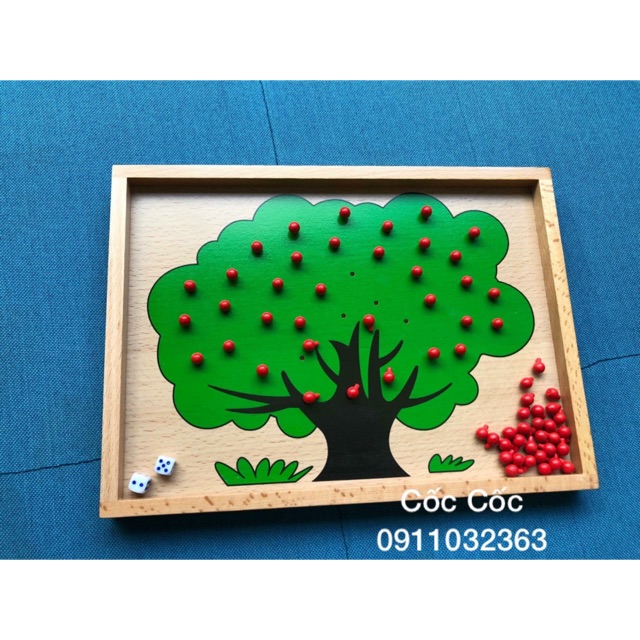 Cây táo học toán