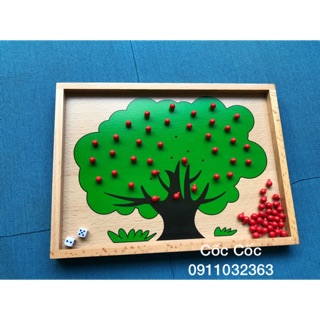 Cây táo học toán