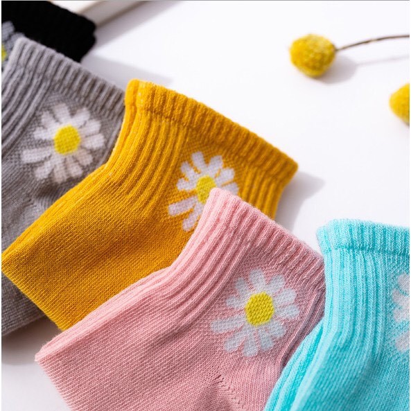 Tất Nữ Hoa Cúc Cổ Ngắn Cotton Hàn Quốc Siêu Đẹp Dahabo TN01