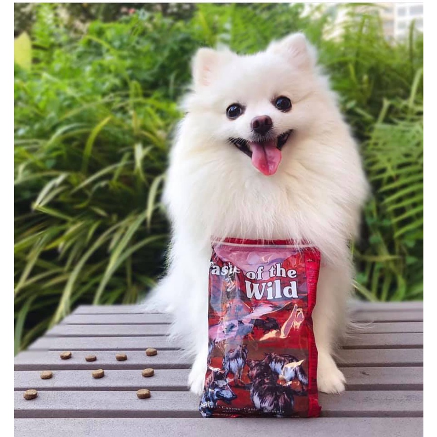 Thức Ăn Cho Chó Poodle Taste Of The Wild Bao 2kg -  Southwest Canyon Thịt Heo Rừng, Trái Cây Rau Củ Quả