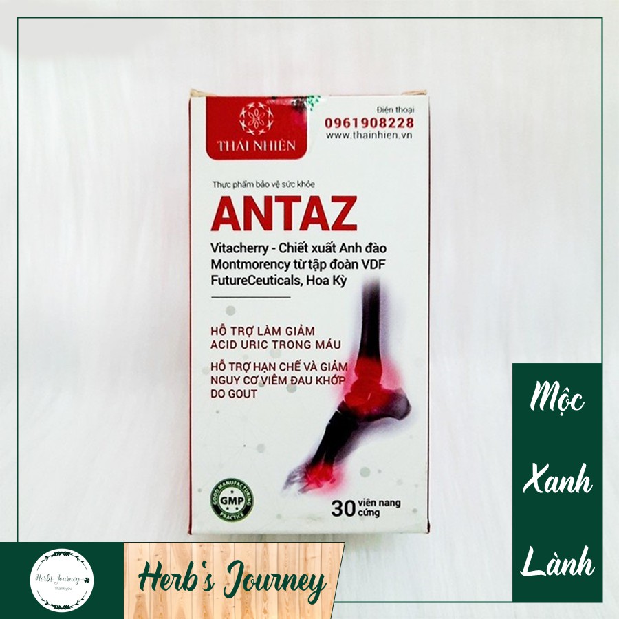 ANTAZ - Hỗ trợ người bị GOUT giảm acid uric từ thảo mộc - Thực phẩm bảo vệ sức khỏe từ thảo dược tự nhiên cho người gút