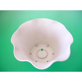 [Hỏa Tốc HN] Chậu hoa viola trắng 26cm Nội địa Nhật Bản