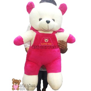 GẤU TEDDY NHỎ 60cm GẤU TEDDY CAO CẤP