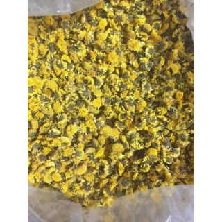 10 cây giống hoa kim cúc