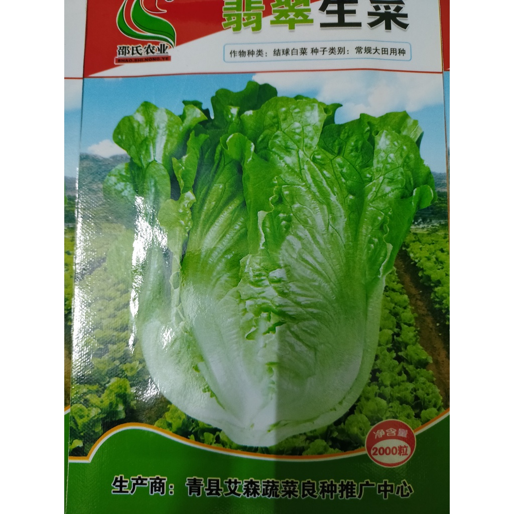 Hạt giống rau xà lách sanchu hàn quốc chịu nhiệt nhập khẩu nguyên bao bì