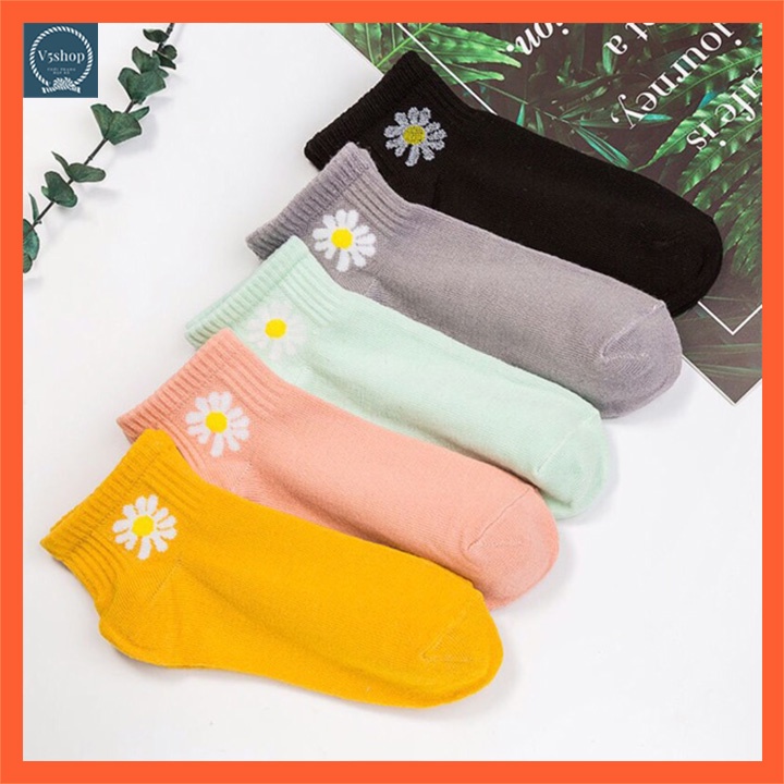 Tất Vớ nữ cổ thấp dưới mắt cá dày dặn dệt kim cotton mềm mịn chống hôi  TN60