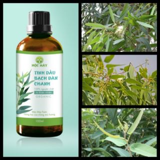 Tinh dầu bạch đàn chanh Mộc Mây