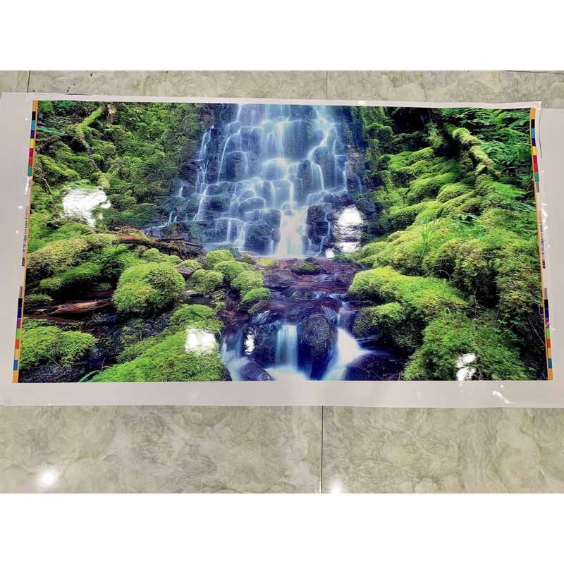 Tranh 3D - phông nền dán hồ cá, bể thuỷ sinh siêu đẹp và nét, có keo sẵn trên bề mặt,có thể in theo KT yêu cầu AQB21-197