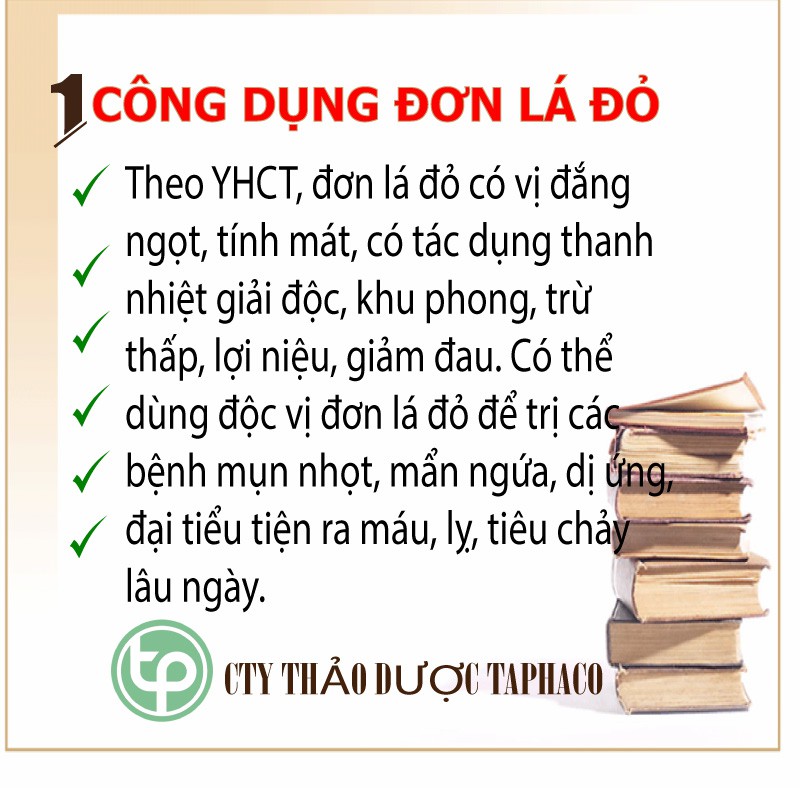 Lá đơn đỏ khô - Thảo dược Tấn Phát