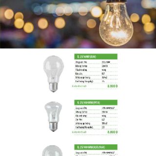 Bóng đèn - điện sợi đốt Rạng Đông các loại